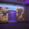Проекционный дизайн "Виртуальная реальность" базовый комплект 500 анимаций - «globural.ru» - Ижевск