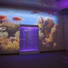 Проекционный дизайн "Виртуальная реальность" безлимитный комплект 1200 анимаций - «globural.ru» - Ижевск
