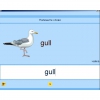 Английский язык. Освоение клавиатуры - «globural.ru» - Ижевск