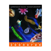 Зоология. Микрофотографии. (Цифровая база изображений) - «globural.ru» - Ижевск
