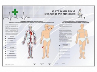 Электрифицированный стенд "Остановка кровотечения" - «globural.ru» - Ижевск
