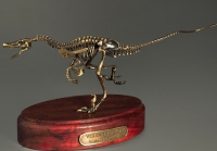 Модель скелета динозавра Velociraptor - «globural.ru» - Ижевск