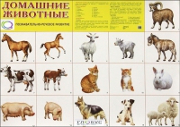Демонстрационные карточки "Домашние животные" - «globural.ru» - Ижевск