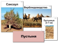 Модель-аппликация "Природные зоны России" - «globural.ru» - Ижевск