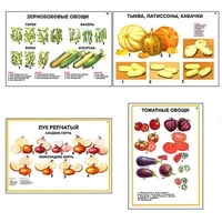 Плакаты ПРОФТЕХ "Ассортимент овощных культур" (12 пл, винил, 70х100) - «globural.ru» - Ижевск