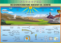 Таблица Возникновение жизни на Земле 1000*1400 винил - «globural.ru» - Ижевск