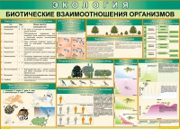 Таблица Биотические взаимоотношения организмов 1000*700 (винил) - «globural.ru» - Ижевск
