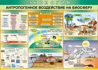 Таблица Антропогенное воздействие на биосферу 1000*700 винил - «globural.ru» - Ижевск