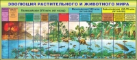 Стенд "Эволюция растительного и животного мира" - «globural.ru» - Ижевск