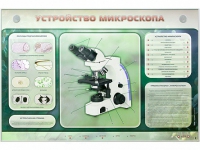 Электрифицированный стенд "Устройство микроскопа и правила работы c ним" - «globural.ru» - Ижевск