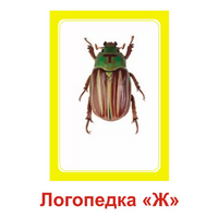 Логопедка "Ж" (логопедические карточки) - «globural.ru» - Ижевск