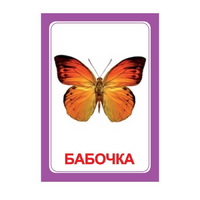 Логопедка "Ч" (логопедические карточки) - «globural.ru» - Ижевск