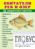 Раздаточные карточки "Обитатели рек и озер" - «globural.ru» - Ижевск