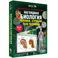 Наглядная биология. Человек. Строение тела человека - «globural.ru» - Ижевск