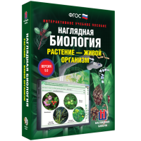 Наглядная биология. Растение - живой организм - «globural.ru» - Ижевск