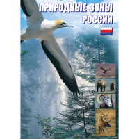 DVD Природные зоны России - «globural.ru» - Ижевск