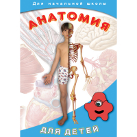 DVD  Анатомия для детей - «globural.ru» - Ижевск
