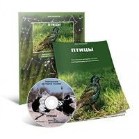 Электронное наглядное пособие «Птицы» - «globural.ru» - Ижевск