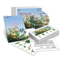 Комбинированное наглядное пособие «Растения» - «globural.ru» - Ижевск