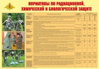 Плакат "Нормативы по радиационной, химической и биологической защите" - «globural.ru» - Ижевск