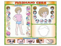 Стенд маркерный "Познаю себя" (тело, голова, органы чувств) - «globural.ru» - Ижевск