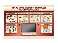 Многофункциональный интерактивный стенд-тренажер "Оказание первой помощи пострадавшим" для учащихся общеобразовательных учреждений - «globural.ru» - Ижевск