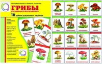 Демонстрационные карточки  "Грибы съедобные и не съедобные" - «globural.ru» - Ижевск