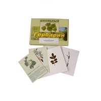 Гербарий "Деревья и кустарники" (22 вида, с иллюстрациями) - «globural.ru» - Ижевск