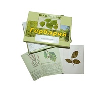 Гербарий "Дикорастущие растения" (30 видов, с иллюстрациями) - «globural.ru» - Ижевск