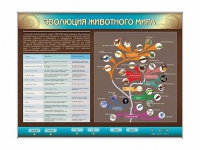 Интерактивный электрифицированный стенд "Эволюция животного мира" - «globural.ru» - Ижевск