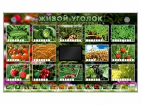 Комплект оборудования "Живой уголок" (растения) - «globural.ru» - Ижевск