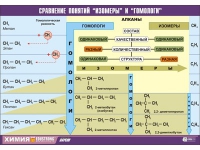 Таблица демонстрационная "Сравнение понятий изомер и гомолог" (винил 100х140) - «globural.ru» - Ижевск