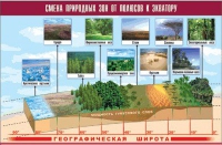 Таблица демонстрационная "Смена природных зон от полюсов к экватору" (винил 70x100) - «globural.ru» - Ижевск