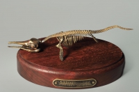Модель скелета ихтиозавра Ichthyosaurus - «globural.ru» - Ижевск