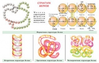 Плакаты и таблицы по общей химии - «globural.ru» - Ижевск