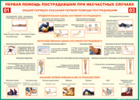  Таблица Общий порядок оказания первой помощи пострадавшим 1000*1400 винил	 - «globural.ru» - Ижевск