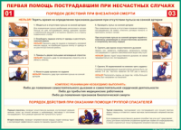 Таблица Порядок действий при внезапной смерти 1000*1400 винил - «globural.ru» - Ижевск