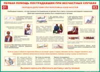 Таблица Порядок действий при переломах конечностей 1000*1400 винил - «globural.ru» - Ижевск