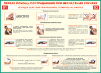 Таблица Порядок действий при ранениях и термических ожогах	 1000*1400 винил - «globural.ru» - Ижевск