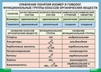 Химия. Сравнение понятий изомер и гомолог. Функциональные группы классов органических веществ (винил) - «globural.ru» - Ижевск