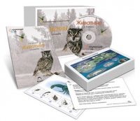 Комбинированное наглядное пособие «Животные» - «globural.ru» - Ижевск