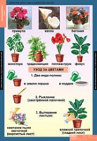 Окружающий мир 1 класс (комплект таблиц) - «globural.ru» - Ижевск
