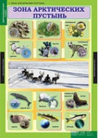 Окружающий мир 4 класс (комплект таблиц) - «globural.ru» - Ижевск