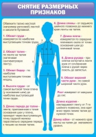 Стенд "Снятие мерок" (вариант 2) - «globural.ru» - Ижевск