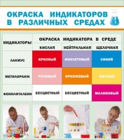 Стенд "Окраска индикаторов в различных средах" - «globural.ru» - Ижевск