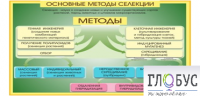 Стенд "Методы селекции и биотехнологии" - «globural.ru» - Ижевск