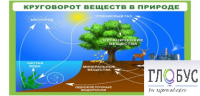 Стенд "Круговорот веществ" - «globural.ru» - Ижевск