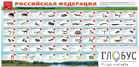 Стенд "Красная книга РФ" - «globural.ru» - Ижевск