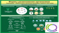 Стенд "Формы размножения организмов" - «globural.ru» - Ижевск