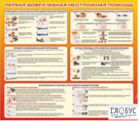 Стенд "Первая доврачебная неотложная помощь" - «globural.ru» - Ижевск